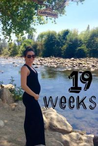 Bumpdate {19 weeks}